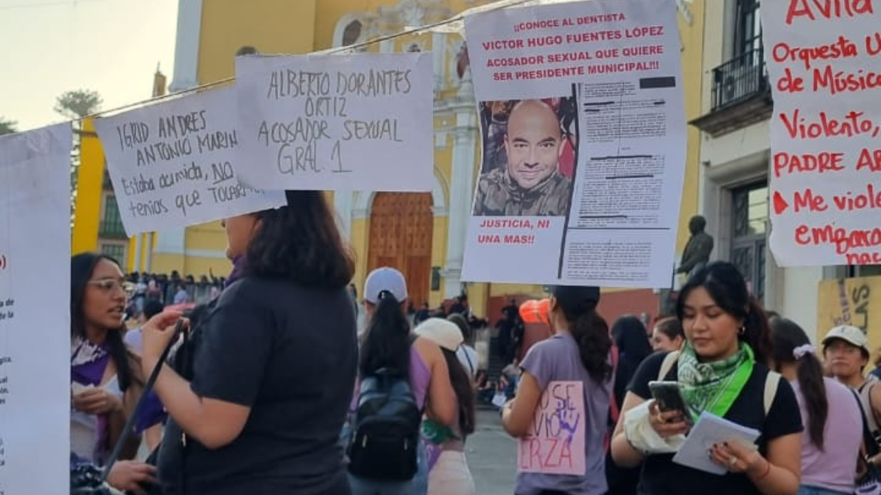 MX NOTICIERO (12)