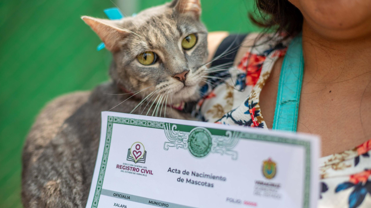 ricardo ahued registro de mascotas municipio de xalapa