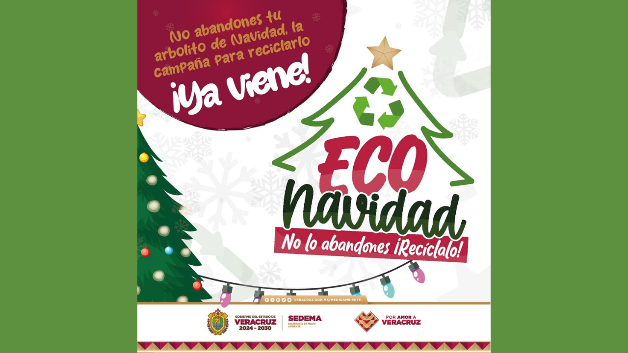 campaña de reciclaje en veracruz rocío nahle garcía gobernadora de veracruz