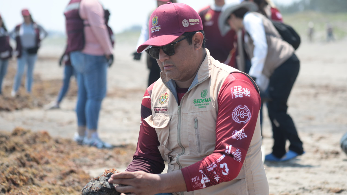 #VERACRUZ cLAU – 2026-03-27T194843.673