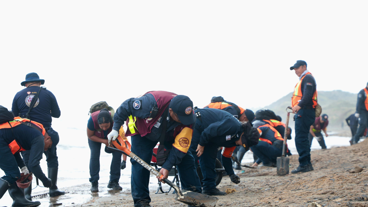 #VERACRUZ cLAU – 2026-03-29T213120.473