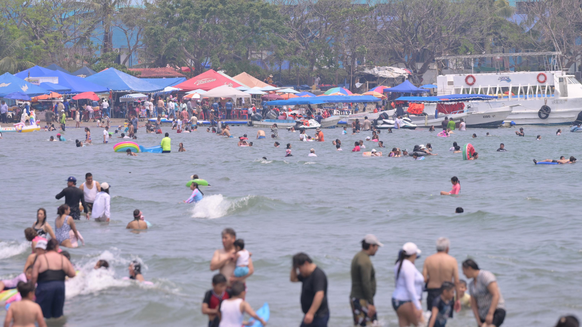 #VERACRUZ cLAU – 2026-04-03T181354.171