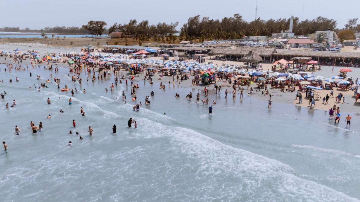 #VERACRUZ cLAU – 2026-04-03T230529.957