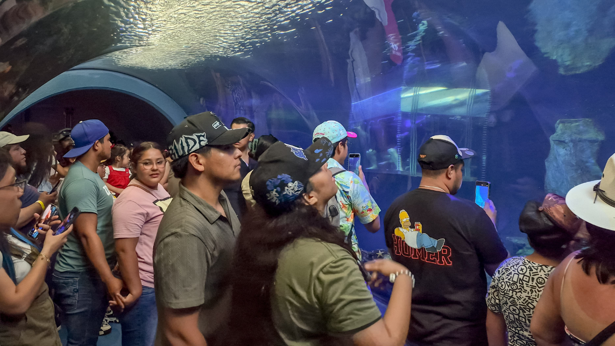 #VERACRUZ cLAU – 2026-04-04T213800.685