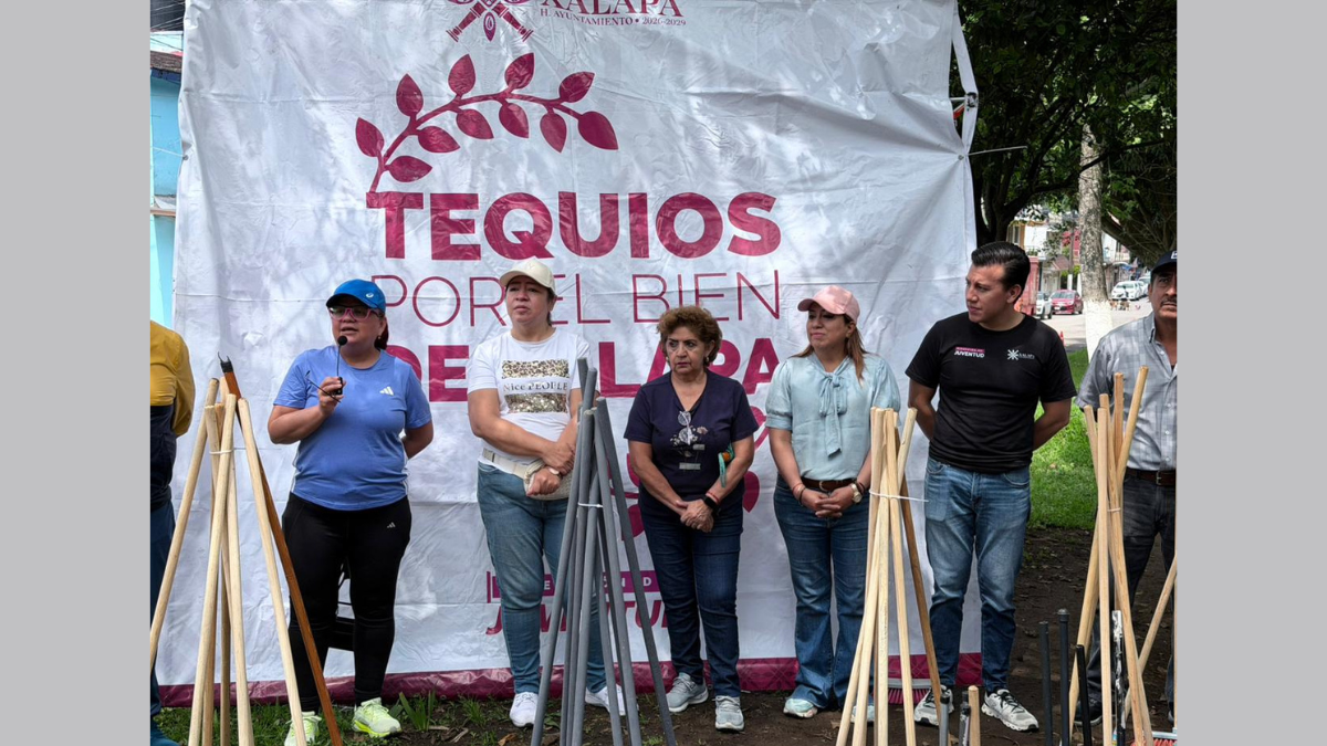 #VERACRUZ cLAU – 2026-04-11T165303.213