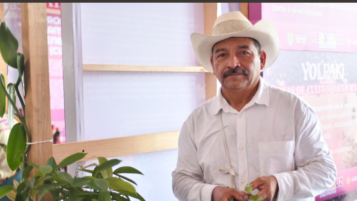 #VERACRUZ cLAU – 2026-05-17T192105.663