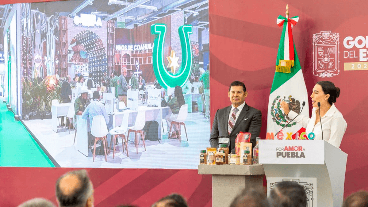 Diseño sin título – 2026-08-03T144122.887