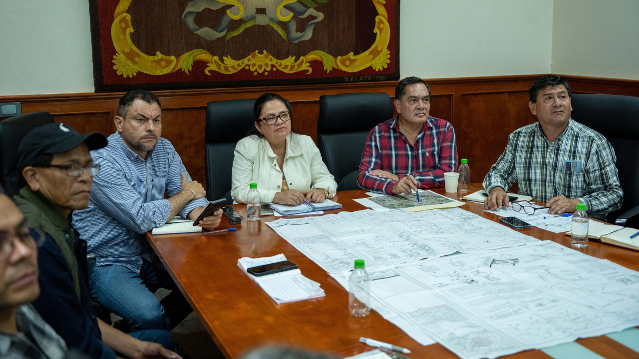 Daniela Griego Ceballos,presidenta municipal de xalapa