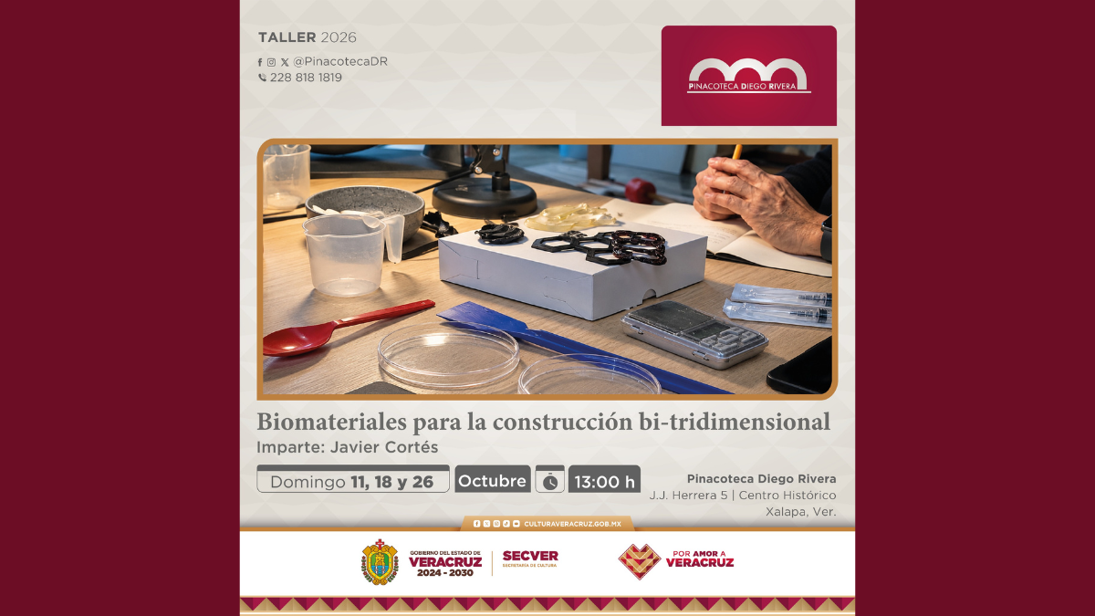 MxnoticieroSepuedeBorrar (47)