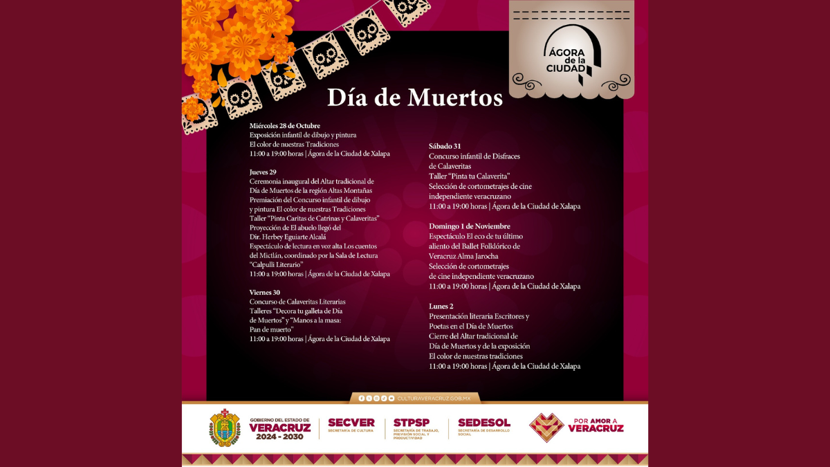 MxnoticieroSepuedeBorrar (93)